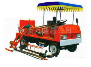 四川省甘孜藏族自治州雅江縣馬鞍山鄉(xiāng)案例